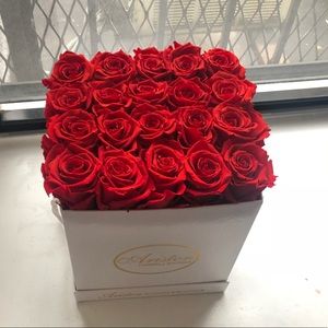 Eternity Flowers Aristotle - Venus de Fleur